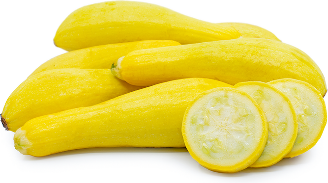 Squash (yellow) - Habegger Produce