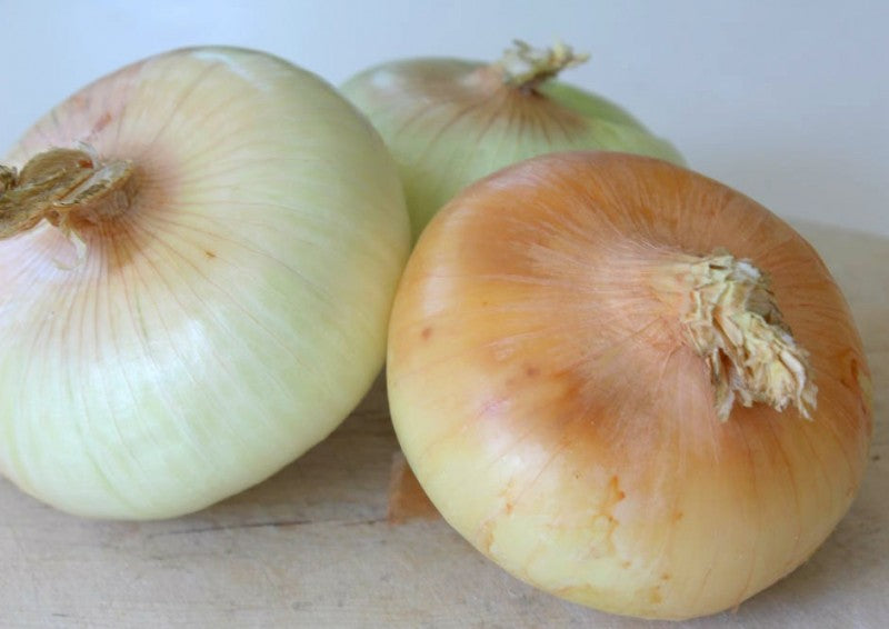 Onion (Sweet)