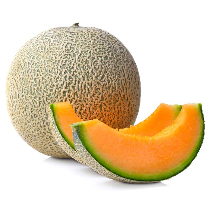 Cantaloupe - Habegger Produce