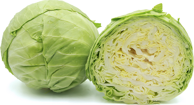 Cabbage