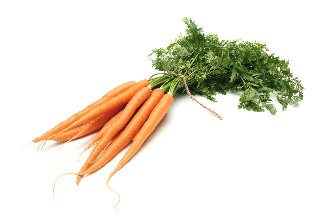 Carrots - Fox Tail Farm