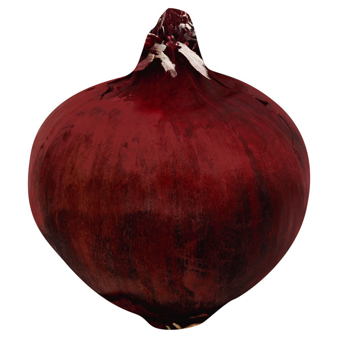 Onion (Red)