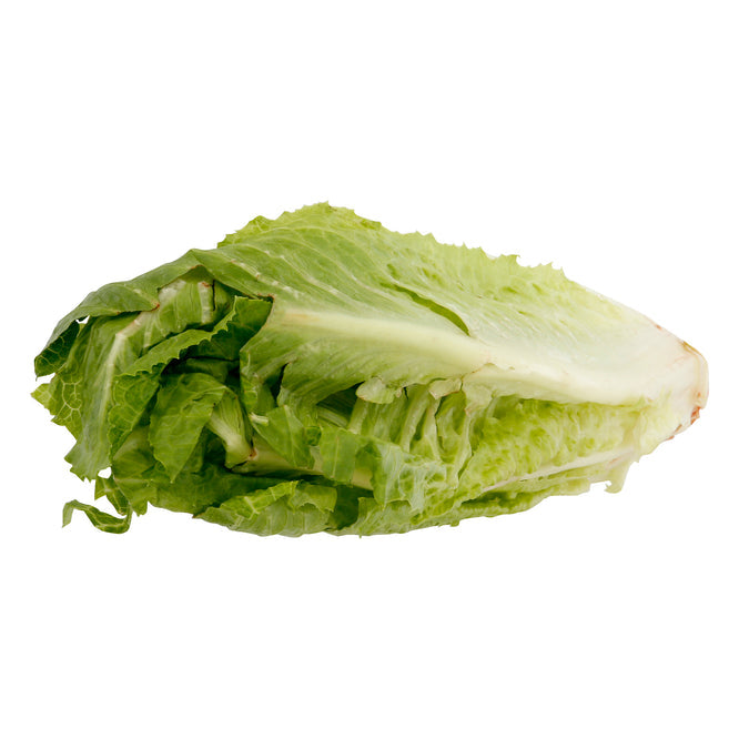 Romaine Lettuce