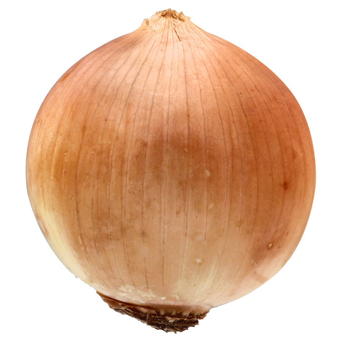 Onion (Yellow)